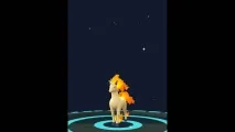 Ponyta