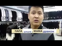 Нащадок дракона та кедрової шишки нащадок