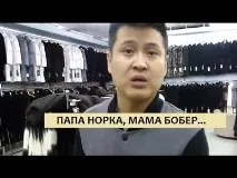 Нащадок дракона та кедрової шишки кедрової