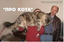 Притча про кота ), Я читаю все, щопотрібно, і навчаюсь, чого хочу навчаюсь