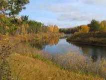 Природа, рослини та тварини Комі природа