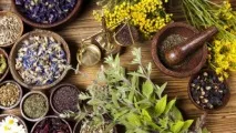 Протипухлинні трави при різних захворюваннях огляд, особливості застосування, ефективність та трави