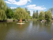 Ставок «Миргородська калюжа», Миргород ставок