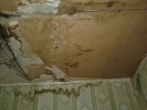 Як перетворити старий садовий будиночок на «цукерку» за копійки перетворити