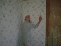 Як перетворити старий садовий будиночок на «цукерку» за копійки перетворити