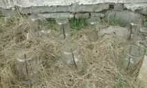 Розмноження троянд живцями восени докладна інструкція для початківців троянд