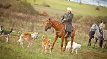 Вирішуючи зевести коня для полювання, мисливець повинен задуматися про будівництво стайні мисливець