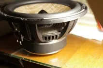 focal