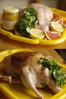 Рецепти качка в духовці, салат з куркою, крекер, ікра, горілка та чача салат