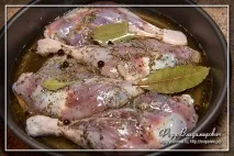 Рійєт з качки, Домашні рецепти качки
