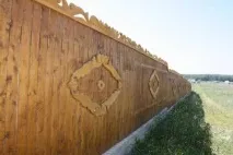 дерева