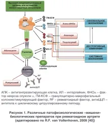 Ревматоїдний артрит досягнення біологічної терапії та інтерпретація клінічних досліджень, терапії