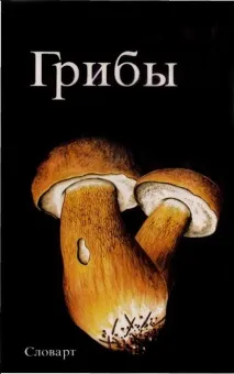 Рибництво та охорона рибних ресурсів рибництво