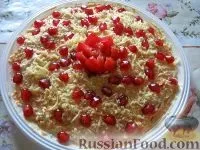 Салат з яблуками, рецепти з фото на 2599 рецептів салат