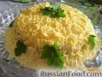 Салат з яблуками, рецепти з фото на 2599 рецептів рецептів
