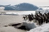 Найчистіше море Уедделла
