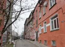 Штайндам від повстання пукраїнсів до пластичної хірургії. повстання