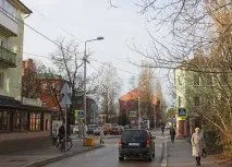 Штайндам від повстання пукраїнсів до пластичної хірургії. штайндам