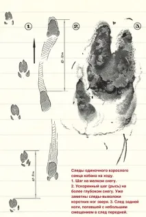 більш