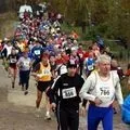 Змагання () 5 букв - пошук слів з маски та визначення, відповіді на сканворди пошук