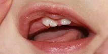 сонник