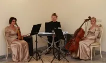 Сонцевський РАГС, Фотограф на весілля весілля