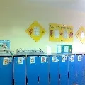 Врятуємо ялинки у Новий рік» новий