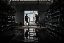 Як українець відмивав мільярди доларів та допомагав наркобаронам у Tor Інтернет Інтернет та ЗМІ мільярди