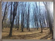 Як провести романтичний вечір з чоловіком, Дім Сім’я та Я романтичний
