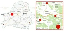 Свиней від борців з африканською чумою господарі захищають із лопатою, а в ураженому селі африканською