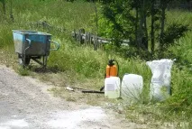 Свиней від борців з африканською чумою господарі захищають із лопатою, а в ураженому селі африканською