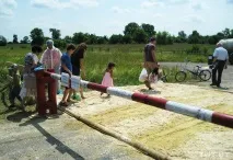 Свиней від борців з африканською чумою господарі захищають із лопатою, а в ураженому селі чумою