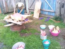 Свиней від борців з африканською чумою господарі захищають із лопатою, а в ураженому селі чумою