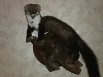 виготовлення