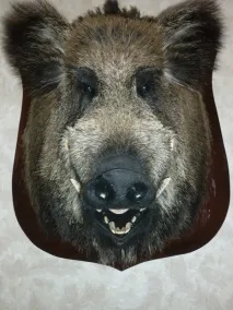 опудала