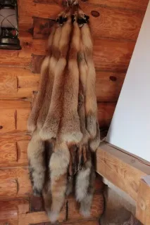 опудала