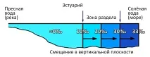 Таємниця морів у Корані таємниця