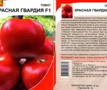 гвардія