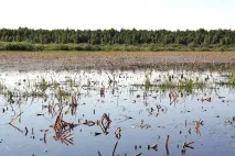 Три підмосковні водоймища, на яких потрібно побувати кожному, Телеканал 360 яких