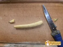 лопатки