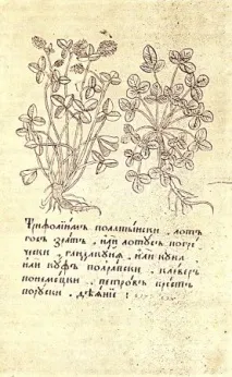 Травники та зелейники, Кирилиця травники