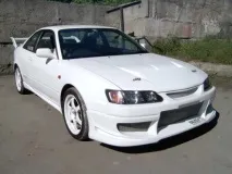 levin