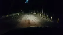 протитуманних