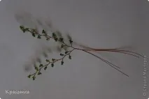 Уроки 1 гілочок