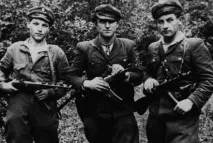 УПА проти гітлерівців брехня чи політичні маніпуляції, УНІАН політичні