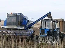 Урожай соняшнику нижчий від очікуваних показників урожай