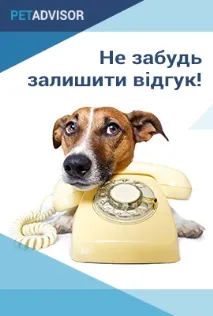 Ветеринарні клініки Луцька – PetAdvisor ветеринарні