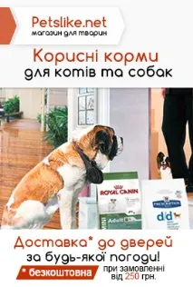 Ветеринарні клініки Луцька – PetAdvisor луцька