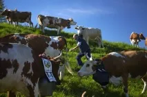 Як створюється швейцарський сир сиру