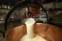 Як створюється швейцарський сир швейцарський